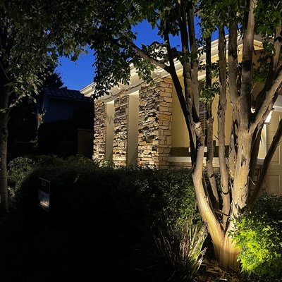 Professional outdoor lighting makes these trees and stone on the home stand out after dark in Serran Photo